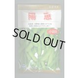 [枝豆]　陽恵　100粒　カネコ種苗（株）