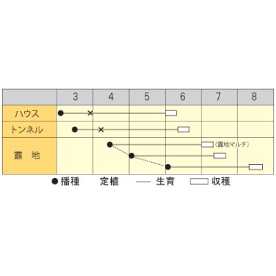 画像2: [枝豆]　陽恵　100粒　カネコ育成