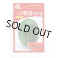 送料無料　[スイカ]　小玉スイカ　FRマダーボール　200粒　ヴィルモランみかど