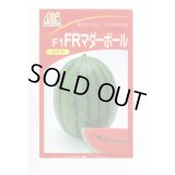 送料無料　[スイカ]　小玉スイカ　FRマダーボール　200粒　ヴィルモランみかど