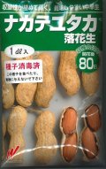 送料無料　[落花生]　ナカテユタカ　1dl　(およそ60粒)渡辺農事