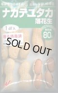 送料無料　[落花生]　ナカテユタカ　1dl　(およそ60粒)渡辺農事（株）