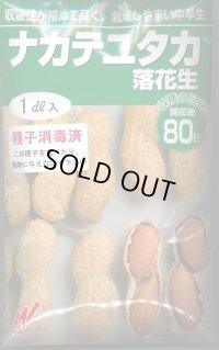 送料無料　[落花生]　ナカテユタカ　1dl　(およそ60粒)渡辺農事（株）