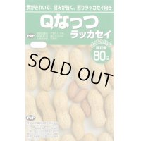 [落花生]　落花生種　Ｑなっつ　50ml　（およそ28粒）渡辺農事株式会社