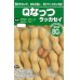 画像1: [落花生]　落花生種　Ｑなっつ　50ml　（およそ28粒）渡辺農事株式会社 (1)