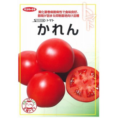 画像2: [トマト/大玉トマト]　送料無料！かれん　1000粒　サカタのタネ（株）