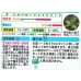 画像2: 送料無料　花の種　クリサンセマム　ムルチコーレイエロー　小袋　タキイ種苗(株)NL150 (2)