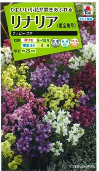 送料無料　花の種　リナリア　グッピー混合　小袋　タキイ種苗(株)NL200