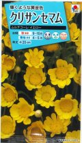 送料無料　花の種　クリサンセマム　ムルチコーレイエロー　小袋　タキイ種苗(株)NL150