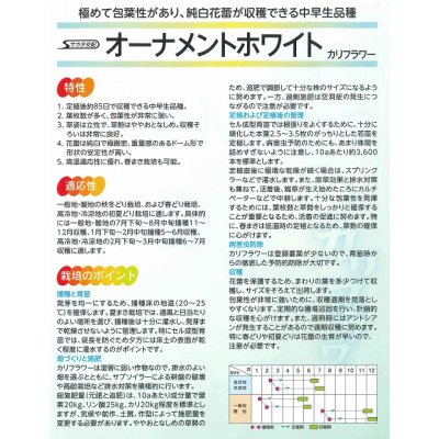 画像3: 送料無料　カリフラワー　]　オーナメントホワイト　2000粒　(株)サカタのタネ