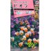 画像1: 花の種　　ビオラ　F1ビビ　アンティークミックス　小袋　タキイ種苗（株） (1)