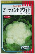 送料無料　カリフラワー　]　オーナメントホワイト　2000粒　(株)サカタのタネ