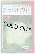 送料無料　カリフラワー　]　オーナメントホワイト　2000粒　(株)サカタのタネ