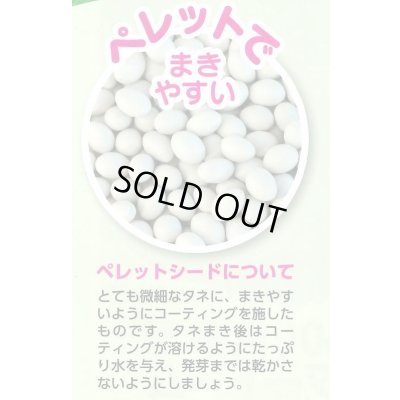 画像5: 送料無料　[ブロッコリー]　サマードーム　ペレット125粒　(株)サカタのタネ　実咲550（003175）