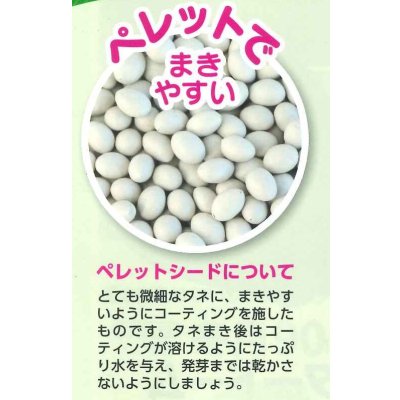 画像5: [ブロッコリー] ウインタードーム ペレット120粒 (株)サカタのタネ実咲550(003177)