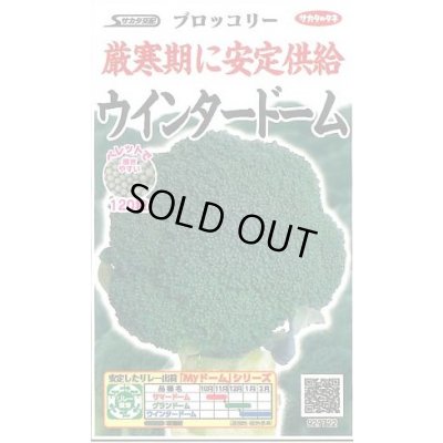 画像1: 送料無料　[ブロッコリー]　ウインタードーム　ペレット120粒　(株)サカタのタネ