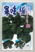 送料無料　[ほうれんそう]　寒味・極　30ml　トキタ種苗(株)
