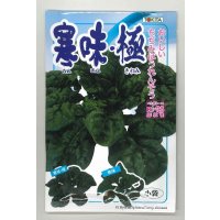 送料無料　[ほうれんそう]　寒味・極　30ml　トキタ種苗(株)
