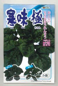 送料無料　[ほうれんそう]　寒味・極　30ml　トキタ種苗(株)