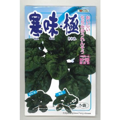 画像1: 送料無料　[ほうれんそう]　寒味・極　30ml　トキタ種苗(株)