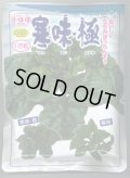 送料無料　[ほうれんそう]　寒味・極　1万粒　トキタ種苗(株)