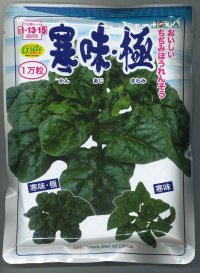 送料無料　[ほうれんそう]　寒味・極　1万粒　トキタ種苗(株)