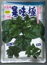 [ほうれんそう]　寒味・極　　1万粒　トキタ種苗（株）