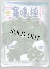 [ほうれんそう]　寒味・極　　1万粒　トキタ種苗（株）