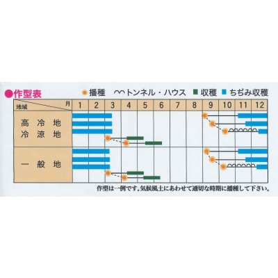 画像2: 送料無料　[ほうれんそう]　寒味・極　30ml　トキタ種苗(株)