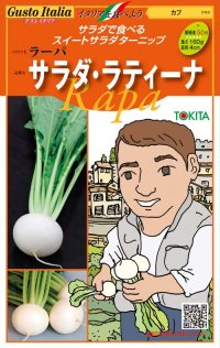 [イタリア野菜]サラダ・ラティーナ　200粒　トキタ種苗（株）