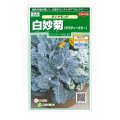 送料無料　花の種　白妙菊　ダイヤモンド　約215粒　（株）サカタのタネ　実咲250（026246）