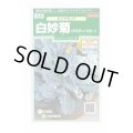 送料無料　花の種　白妙菊　ダイヤモンド　約215粒　（株）サカタのタネ　実咲250（026246）
