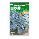 送料無料　花の種　白妙菊　ダイヤモンド　約215粒　（株）サカタのタネ　実咲250（026246）