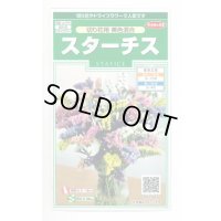 送料無料　花の種　スターチス　切り花用　美色混合　約54粒　(株)サカタのタネ　実咲250（026254）