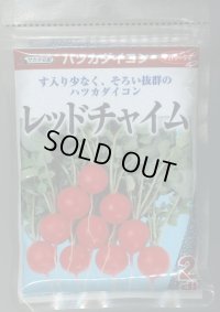 送料無料　[大根]　はつかだいこん　レッドチャイム　2dl　(株)サカタのタネ