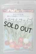 送料無料　[大根]　はつかだいこん　カラフルファイブ　2dl　(株)サカタのタネ