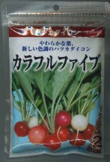 送料無料　[大根]　はつかだいこん　カラフルファイブ　2dl　(株)サカタのタネ