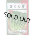 送料無料　[小松菜]　さくらぎ　20ml　（株）サカタのタネ