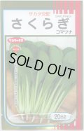 送料無料　[小松菜]　さくらぎ　20ml　（株）サカタのタネ