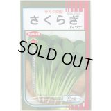 送料無料　[小松菜]　さくらぎ　20ml　（株）サカタのタネ