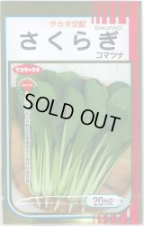 送料無料　[小松菜]　さくらぎ　20ml　（株）サカタのタネ