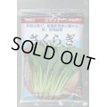 送料無料　[小松菜]　さくらぎ　2dl　（株）サカタのタネ