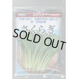 送料無料　[小松菜]　さくらぎ　2dl　（株）サカタのタネ