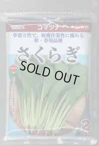 送料無料　[小松菜]　さくらぎ　2dl　（株）サカタのタネ