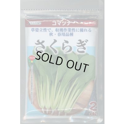 画像1: 送料無料　[小松菜]　さくらぎ　2dl　（株）サカタのタネ