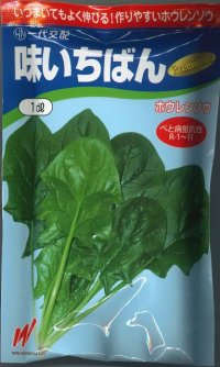 [ほうれんそう]　味いちばんプレミアム2　1dL　渡辺農事（株）