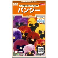 送料無料　花の種　パンジー　スイスジャイアントミックス　約70粒　(株)サカタのタネ　実咲200（026346）
