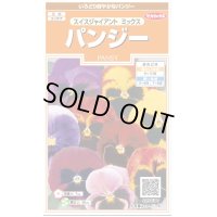 花の種　　パンジー　スイスジャイアントミックス　約34粒　サカタのタネ（株）実咲200