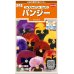 画像1: 花の種　　パンジー　スイスジャイアントミックス　約34粒　サカタのタネ（株）実咲200 (1)