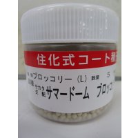 送料無料　[ブロッコリー]　サマードーム　コート5000粒　(株)サカタのタネ
